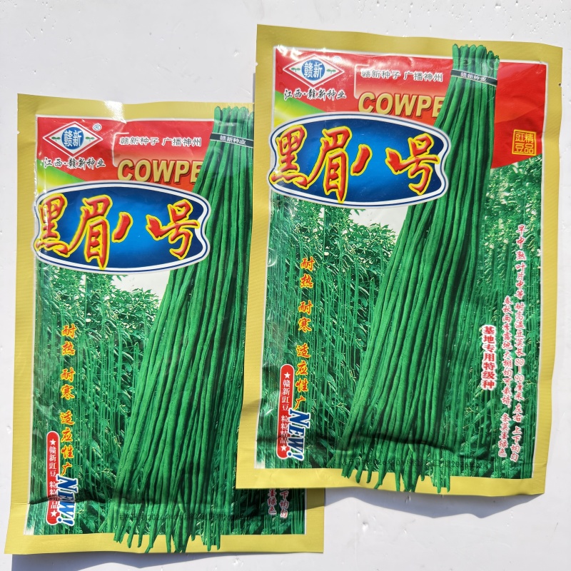 四季长豇豆种籽肉厚鲜嫩高产春秋播种长豇豆种籽大田基地种植