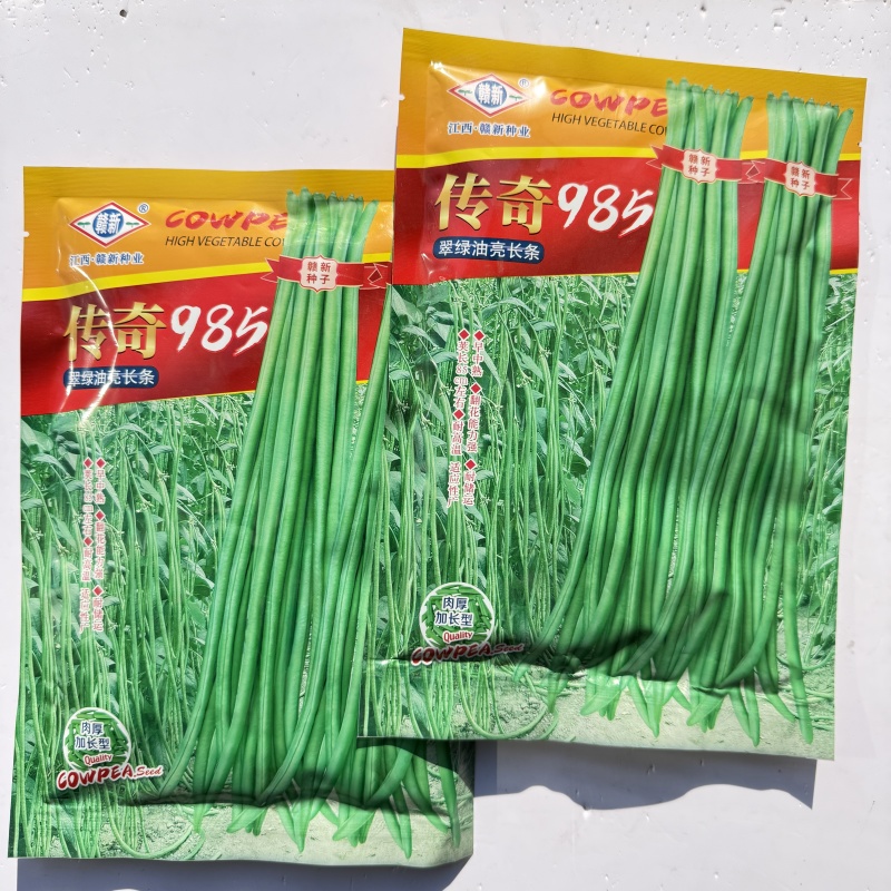传奇985长豇豆种子高产抗病结荚多耐老化纤维少翠绿长豇豆