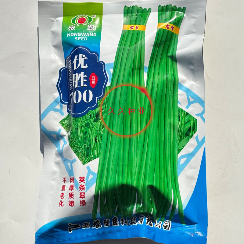 优胜700豇豆种子翠绿色厚肉长豇豆种子产量高光泽度好