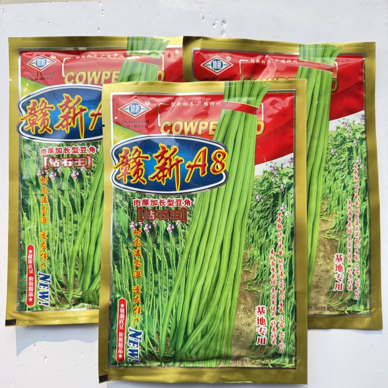 传奇985长豇豆种子高产抗病结荚多耐老化纤维少翠绿长豇豆