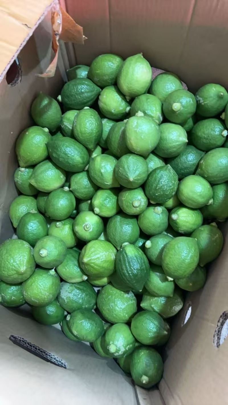 无籽香水柠檬