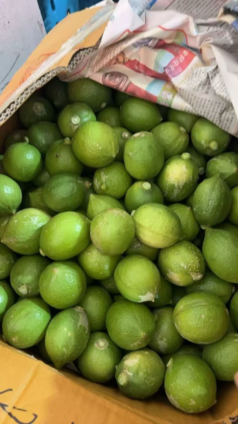无籽香水柠檬