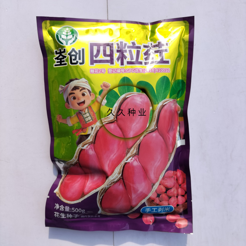 粮花2号(四粒荭)花生种子高产红皮红衣鲜食榨油两用花生种
