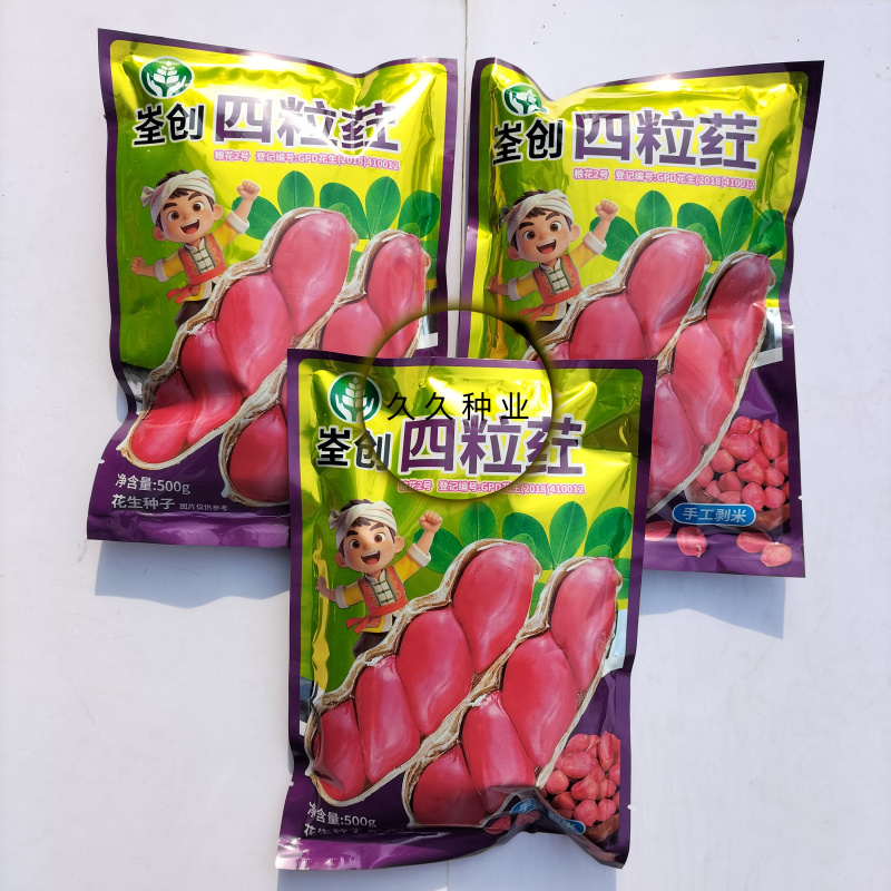 粮花2号(四粒荭)花生种子高产红皮红衣鲜食榨油两用花生种