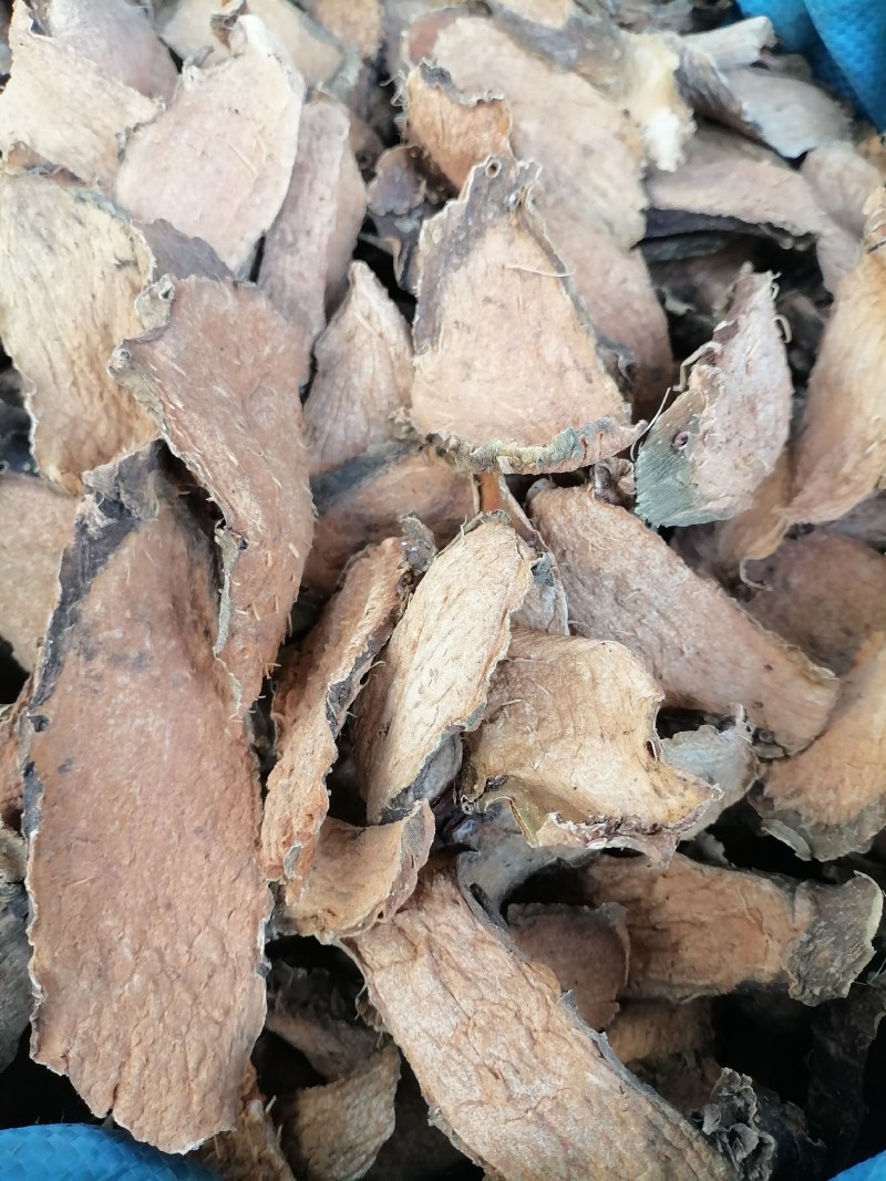 勒茨菇勒茨菇干片生晒干货无硫品质好