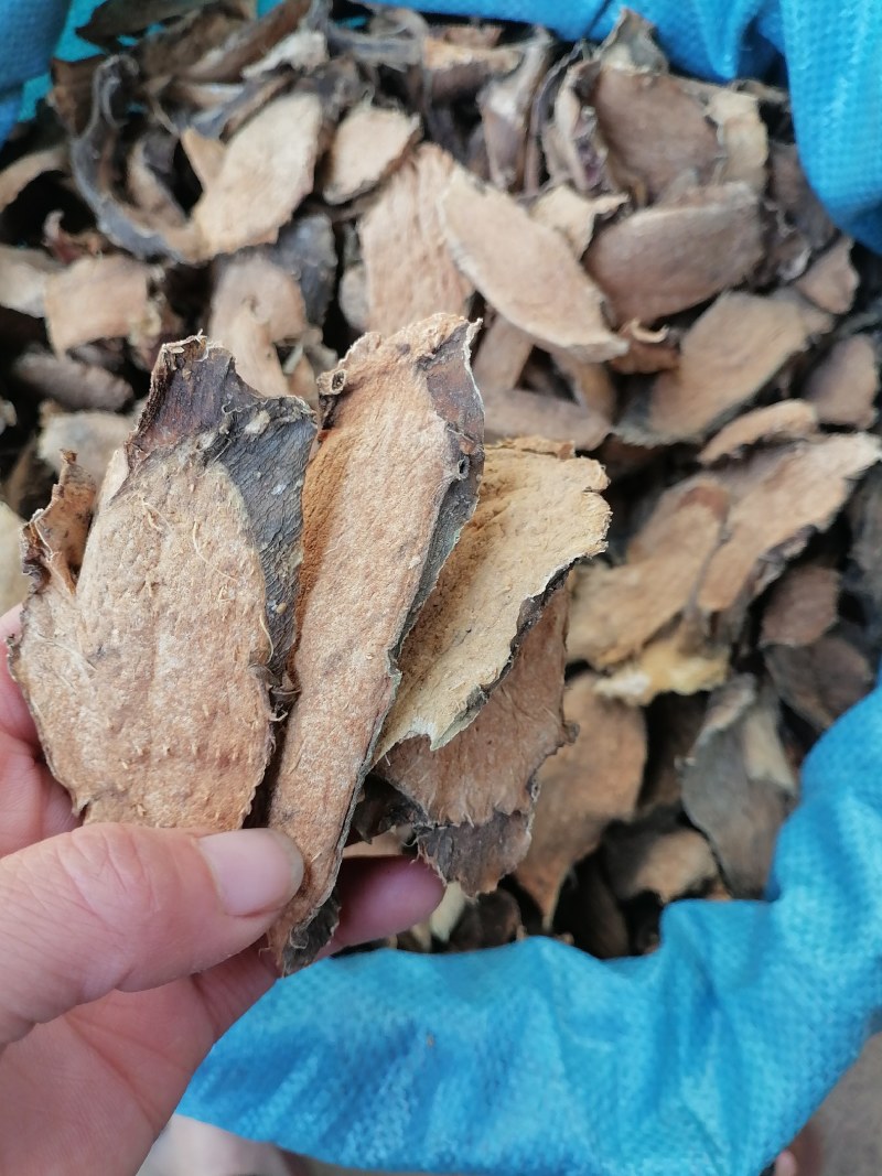 勒茨菇勒茨菇干片生晒干货无硫品质好