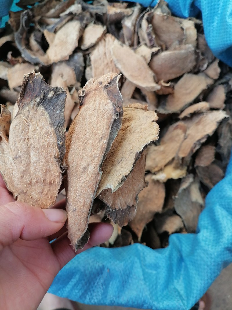 勒茨菇勒茨菇干片生晒干货无硫品质好