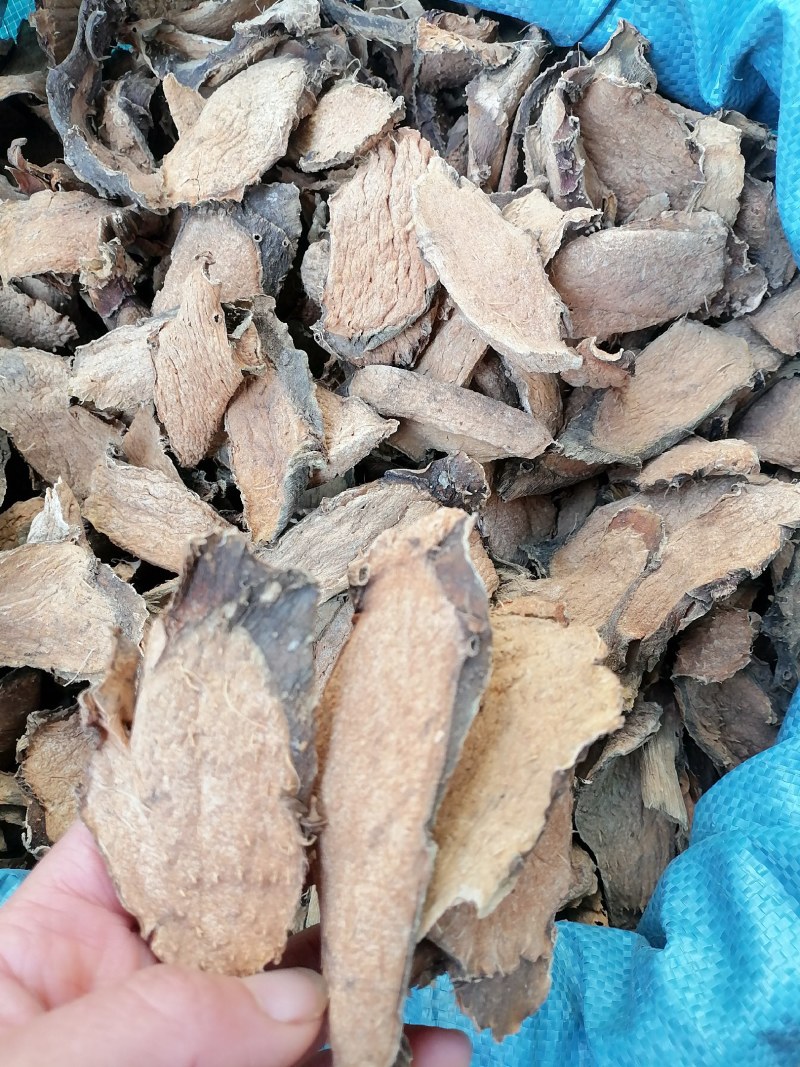 勒茨菇勒茨菇干片生晒干货无硫品质好