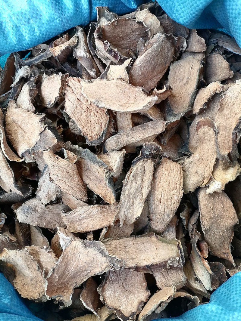 勒茨菇勒茨菇干片生晒干货无硫品质好