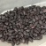 易花4号黑花生种脱壳手选高产抗病春夏播黑皮花生紫花生种