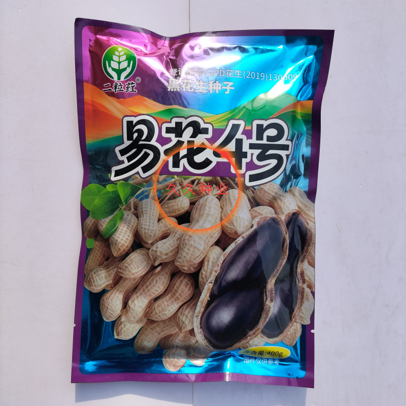 易花4号黑花生种脱壳手选高产抗病春夏播黑皮花生紫花生种
