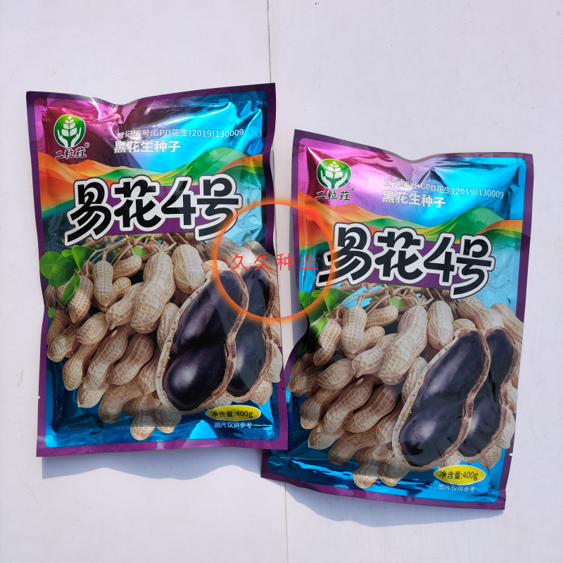 易花4号黑花生种脱壳手选高产抗病春夏播黑皮花生紫花生种