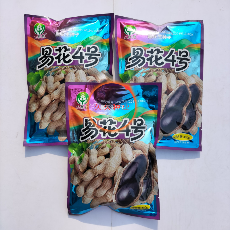 易花4号黑花生种脱壳手选高产抗病春夏播黑皮花生紫花生种