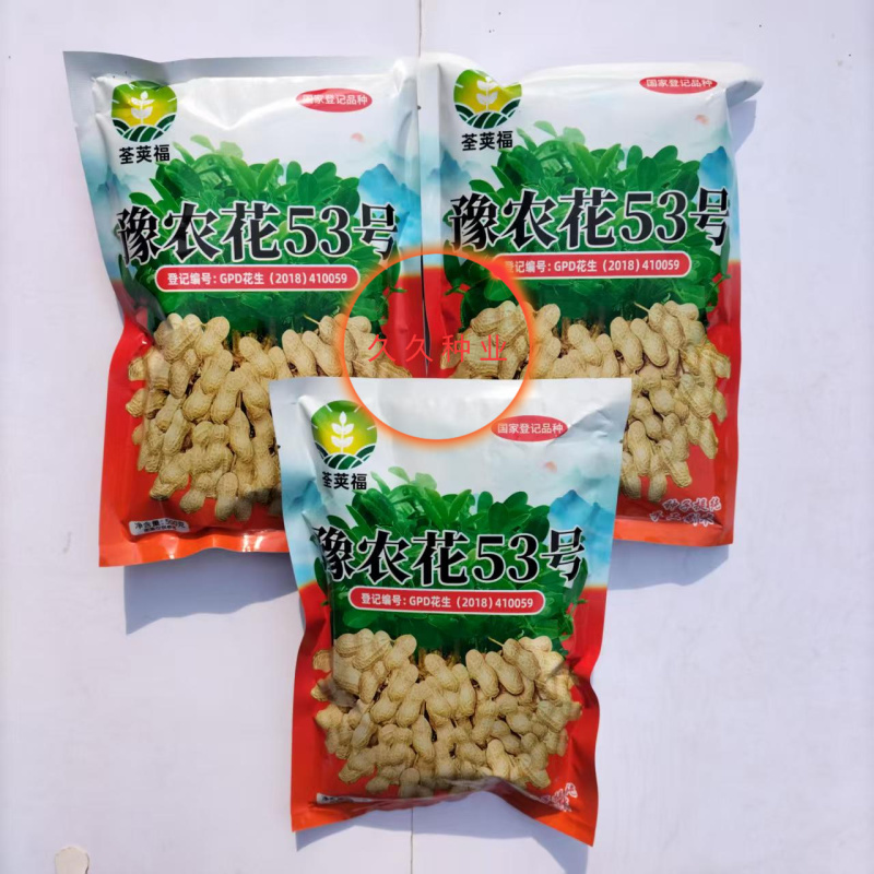 豫农花53花生种子高产粉红皮早熟鲜食榨油两用薄皮壳花生种
