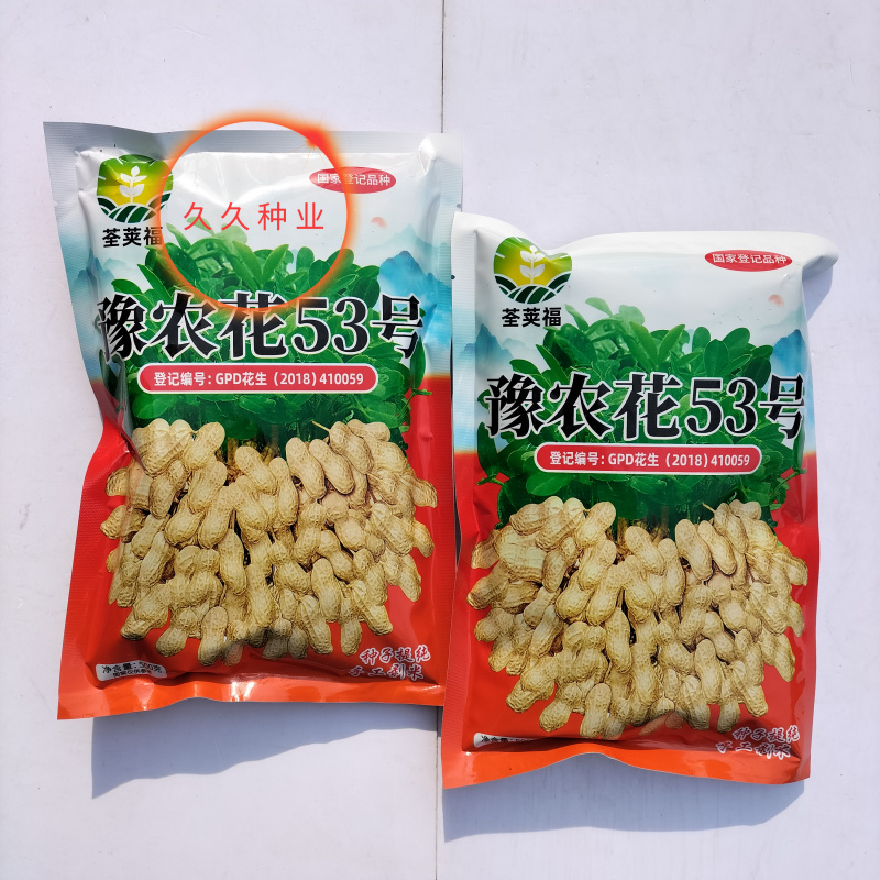 豫农花53花生种子高产粉红皮早熟鲜食榨油两用薄皮壳花生种