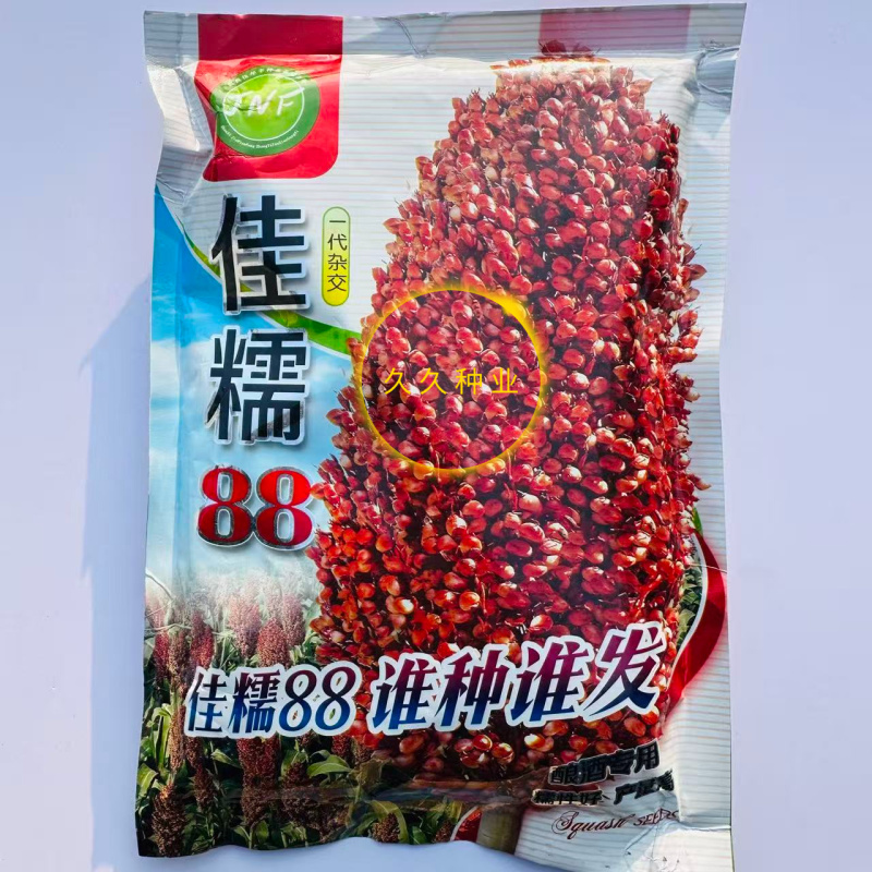 佳糯88红高粱种子糯红高粱种籽抗倒优质酒高粱春秋红梁高粱