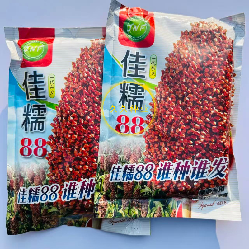 佳糯88红高粱种子糯红高粱种籽抗倒优质酒高粱春秋红梁高粱