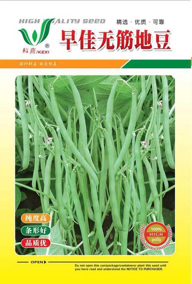 四季豆种子早佳无筋地豆不爬蔓不搭架无筋地豆早熟好品质