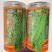 赣新A4高端长豇豆种籽超抗病高产双荚率高翻花持久菜商推荐