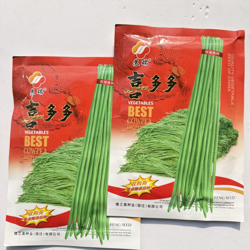 黑眉五号长豇豆种子翠绿肉厚籽少高产春秋播种耐热大田种植