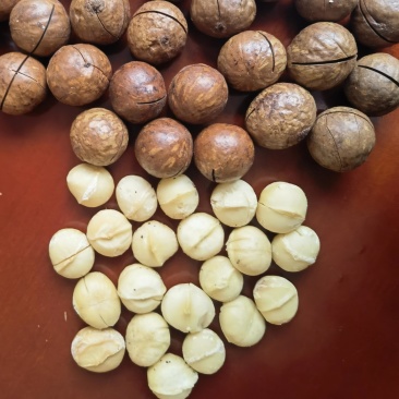 夏威夷果奶香味