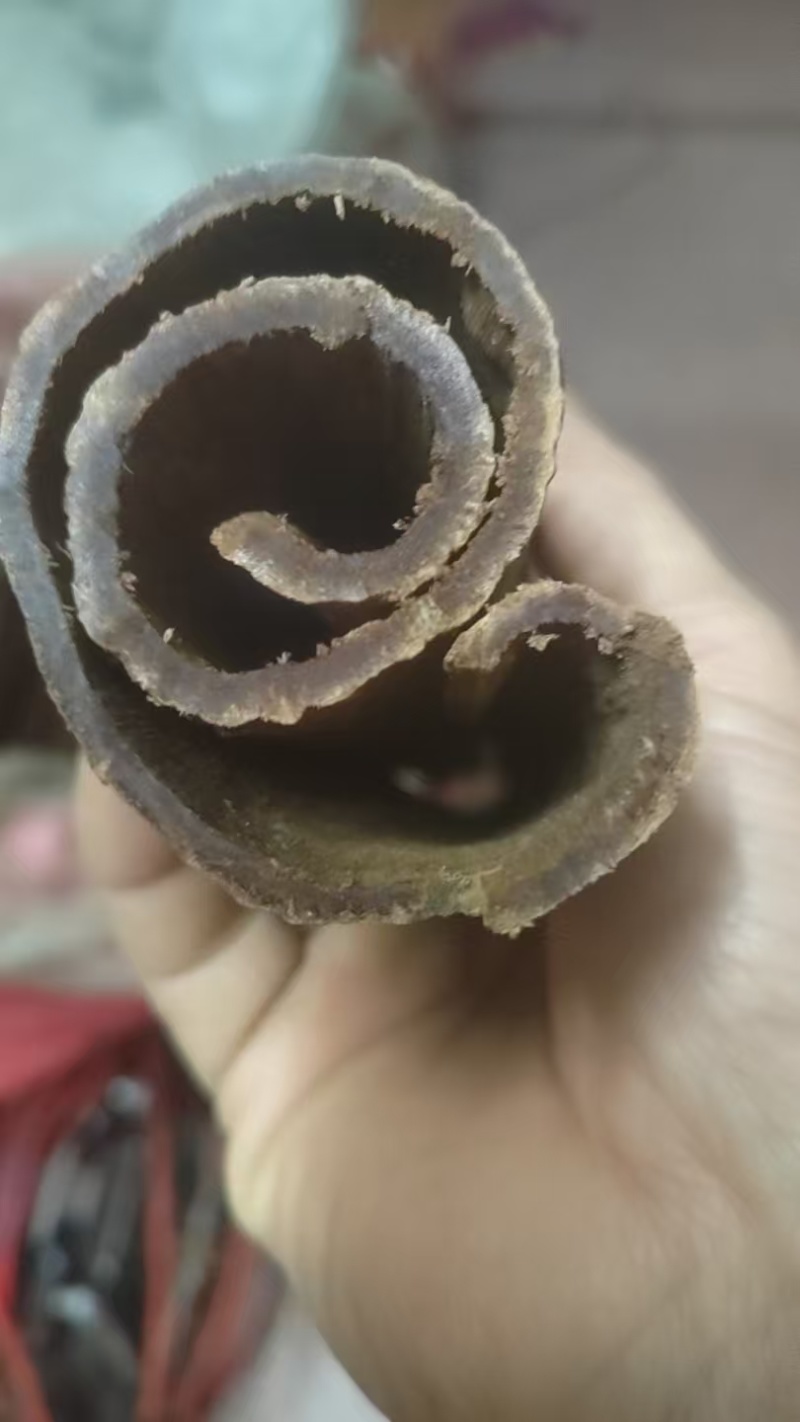 紫油桂