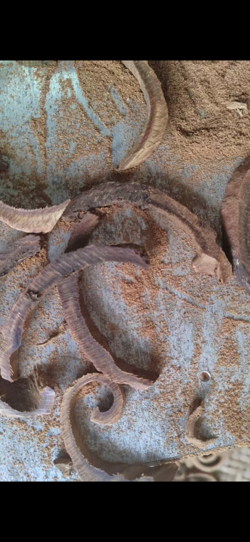 紫油桂