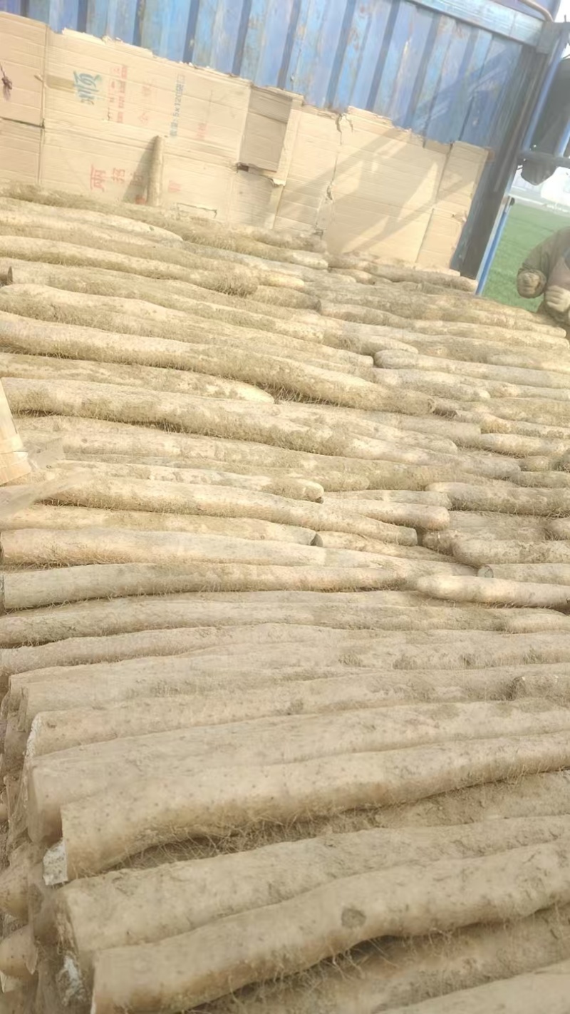 【热卖】精品山药九斤黄山药新鲜现挖品质保障可视频看货
