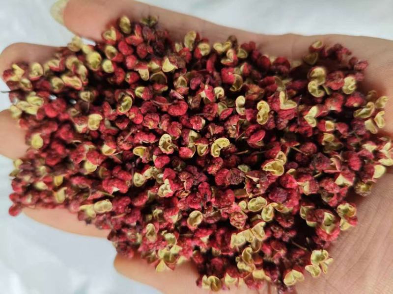 甘肃精品红花椒，大量上市，常年供货，品质保证，欢迎咨询