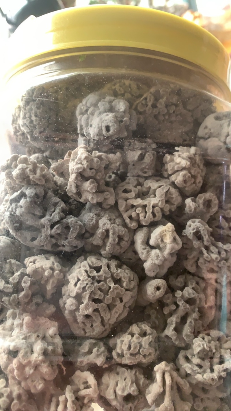 海浮石花大花现货产地直销量大从优欢迎采购