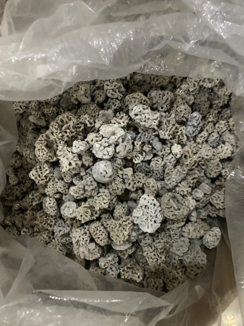 海浮石花大花现货产地直销量大从优欢迎采购