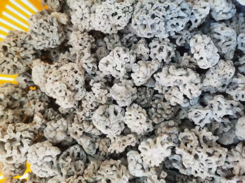 ***中药材海浮石花通货小花中花大花