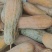 蜜本南瓜，超好吃，适合熬粥，蒸馒头，直接蒸
