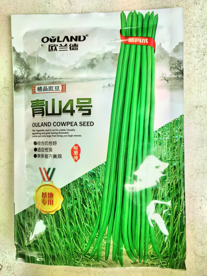 青山4号青条豇豆种子欧兰德早熟深绿条耐热夏秋豇豆长豆角种
