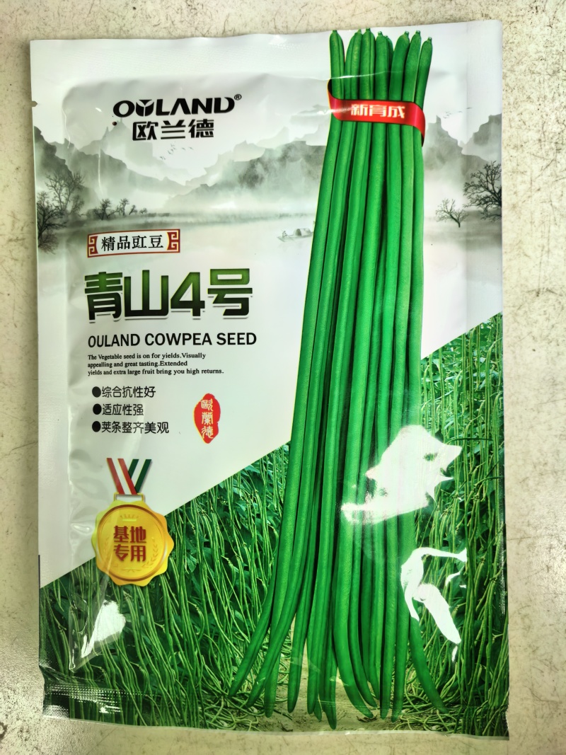 青山4号青条豇豆种子欧兰德早熟深绿条耐热夏秋豇豆长豆角种