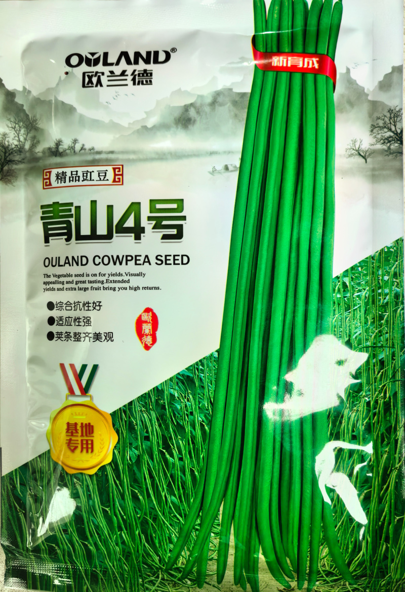 青山4号青条豇豆种子欧兰德早熟深绿条耐热夏秋豇豆长豆角种