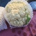 邯郸花菜实花菜脆嫩爽口大量上市欢迎来电咨询