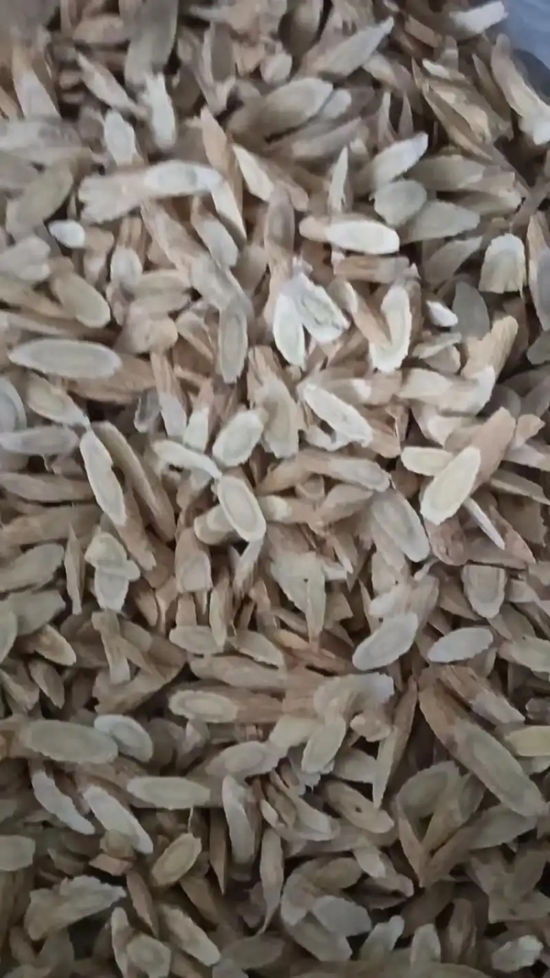 黄芪指甲片8-10规格品质保证服务周到产地直销