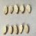 黄芪指甲片8-10规格品质保证服务周到产地直销