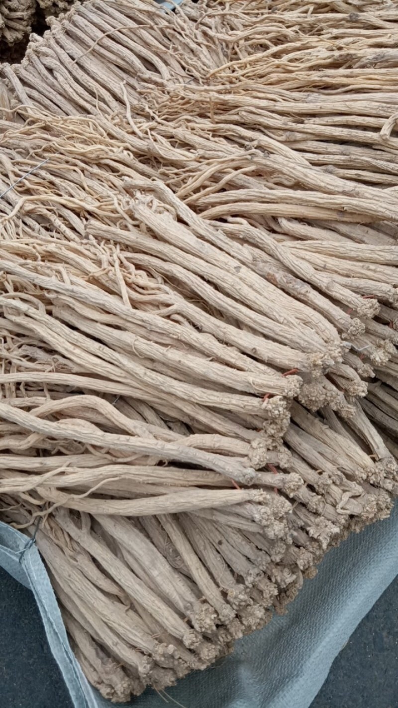 白条党参68规格品质保证服务周到产地直销价格优惠