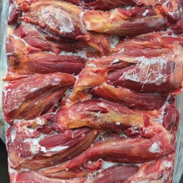 蒙古国处理马肉，价格美丽，有量来谈