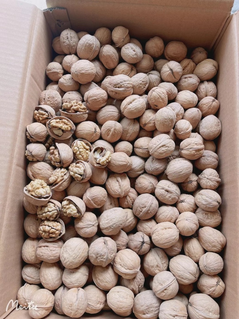 阿克苏185纸皮核桃正宗阿克苏纸皮核桃185纸核桃