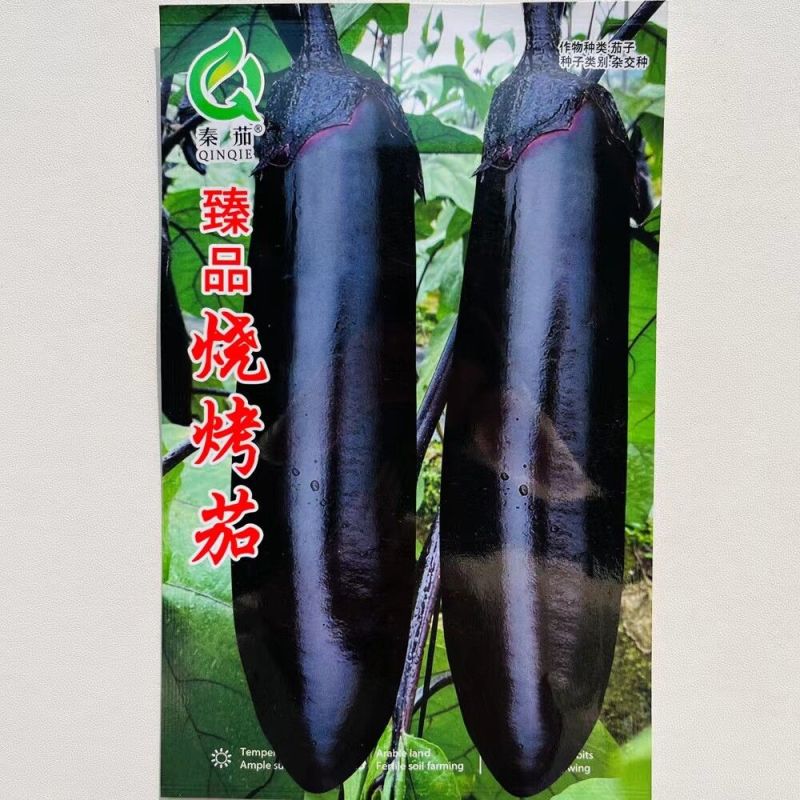 大果型烧烤茄茄子种子早中熟紫黑长茄种籽皮薄籽少顺直春秋播
