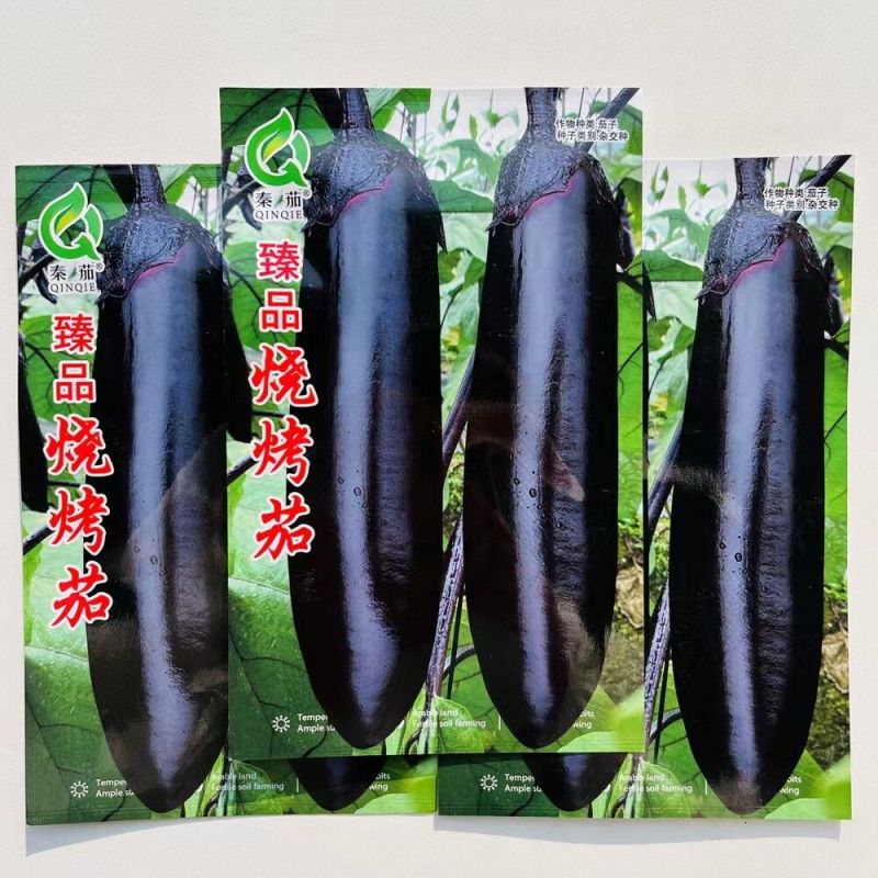 大果型烧烤茄茄子种子早中熟紫黑长茄种籽皮薄籽少顺直春秋播