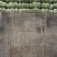 精品大白菜大量现货对接全国各批发市场加工厂