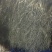红帽蒜苔库存蒜苔一手货源量大优惠随到随装欢迎联系
