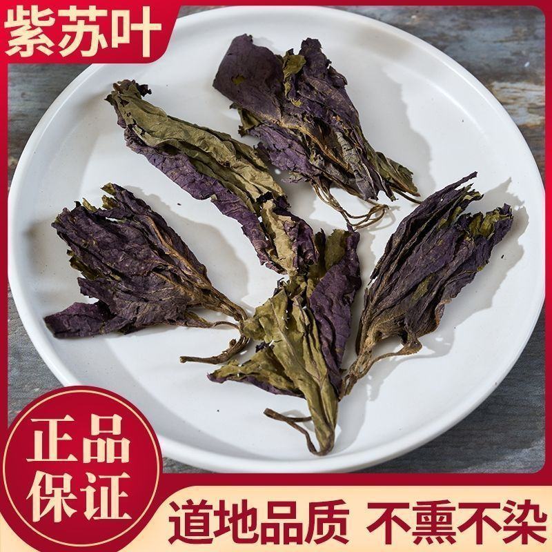 批发紫苏叶紫苏干新鲜紫苏鱼虾去腥泡茶紫苏叶干批发零售