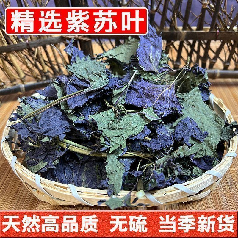 批发紫苏叶紫苏干新鲜紫苏鱼虾去腥泡茶紫苏叶干批发零售