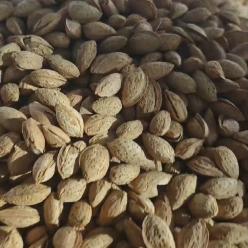 坚果干果巴旦木np大量有货坚果源头工厂直销