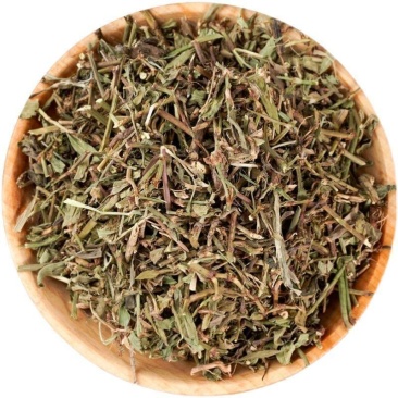 萹蓄草野生中药材扁蓄草扁竹竹节草蚂蚁草猪牙草批发零售